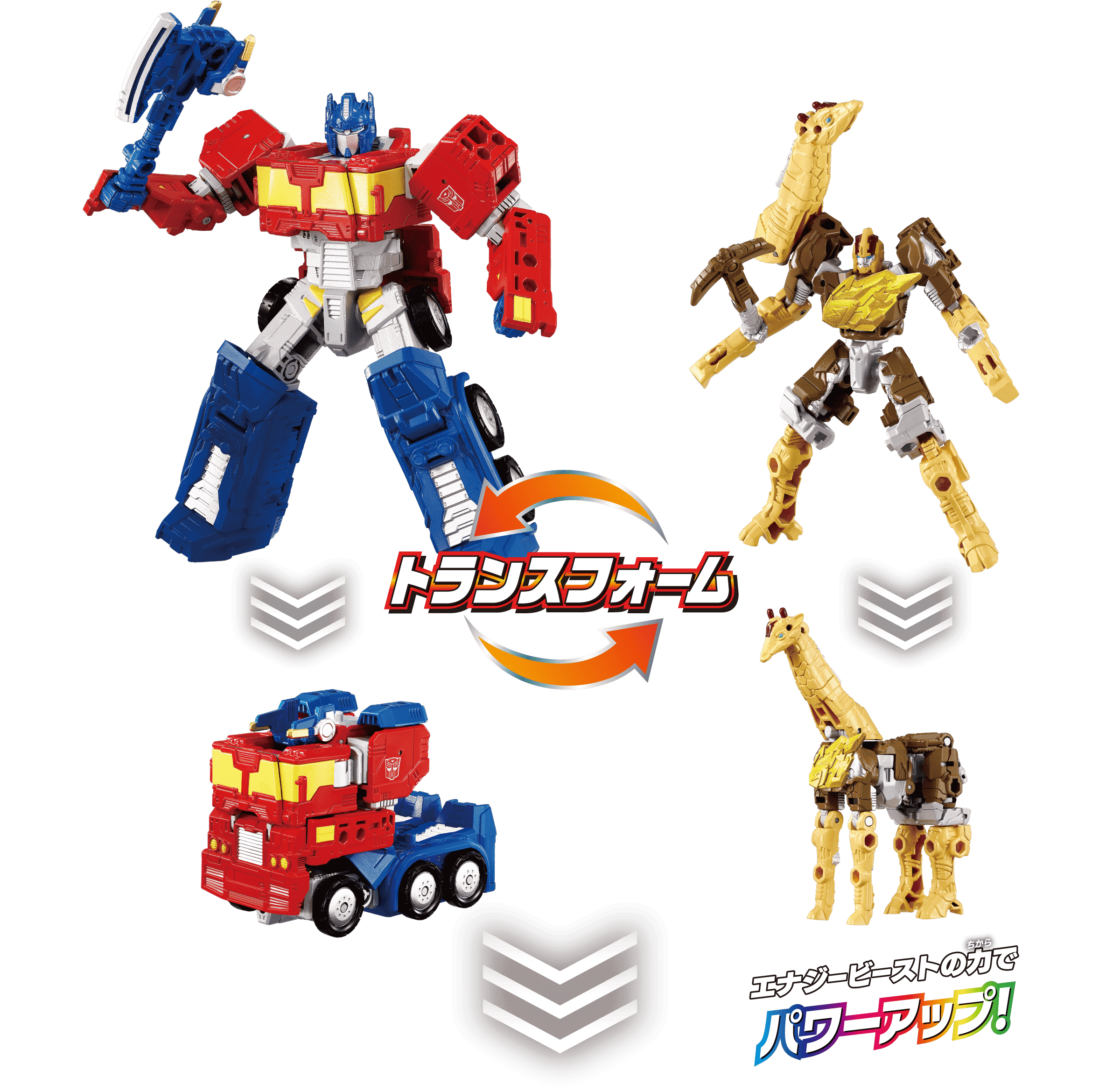 トランスフォーム