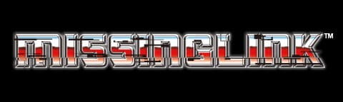 ミッシングリンク