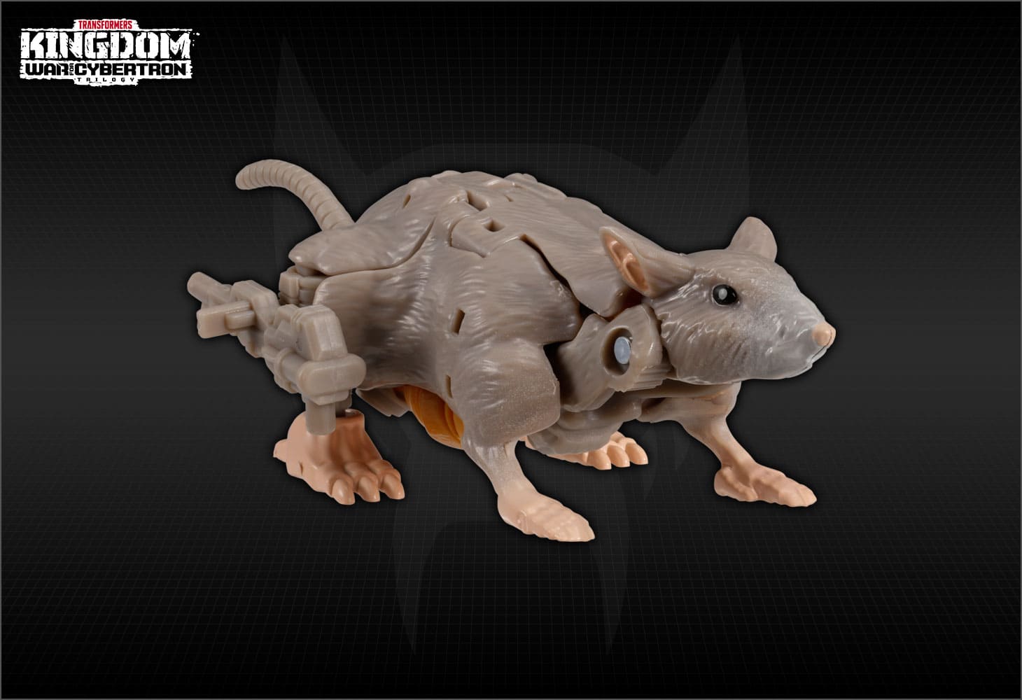 KD-02 ラットトラップ