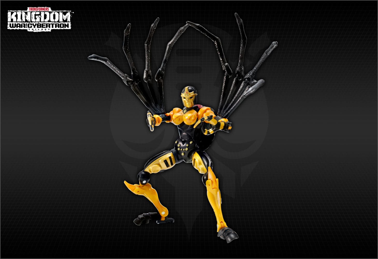 KD-05 ブラックアラクニア