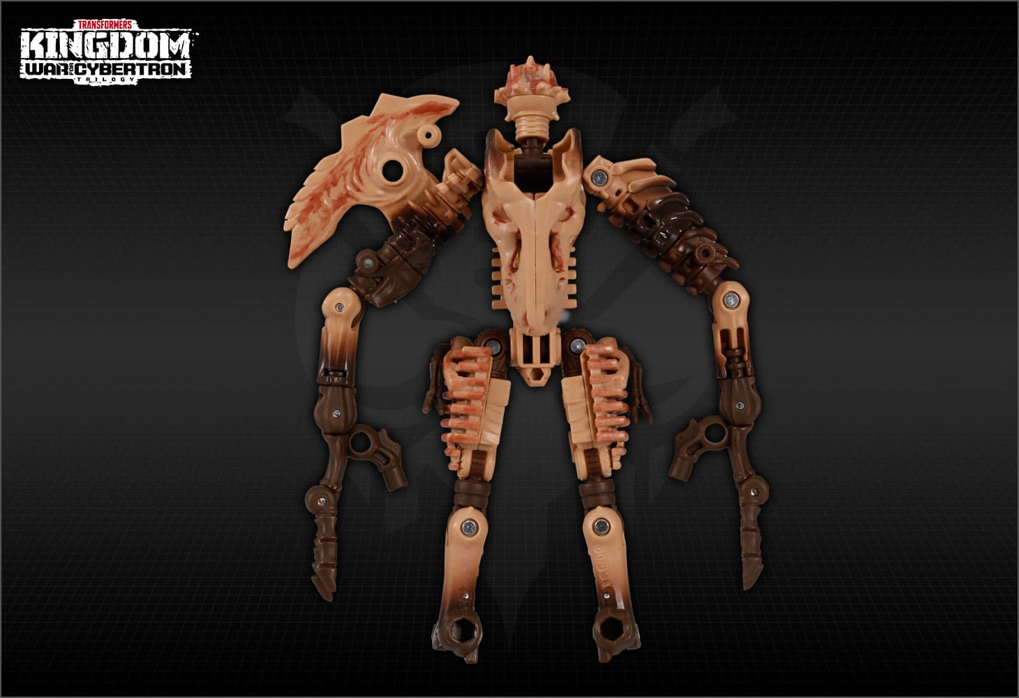 【国内：タカラトミーモール限定】KD EX-01 パレオトレックス