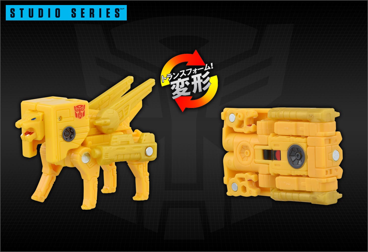 SS-135 スチールジョー