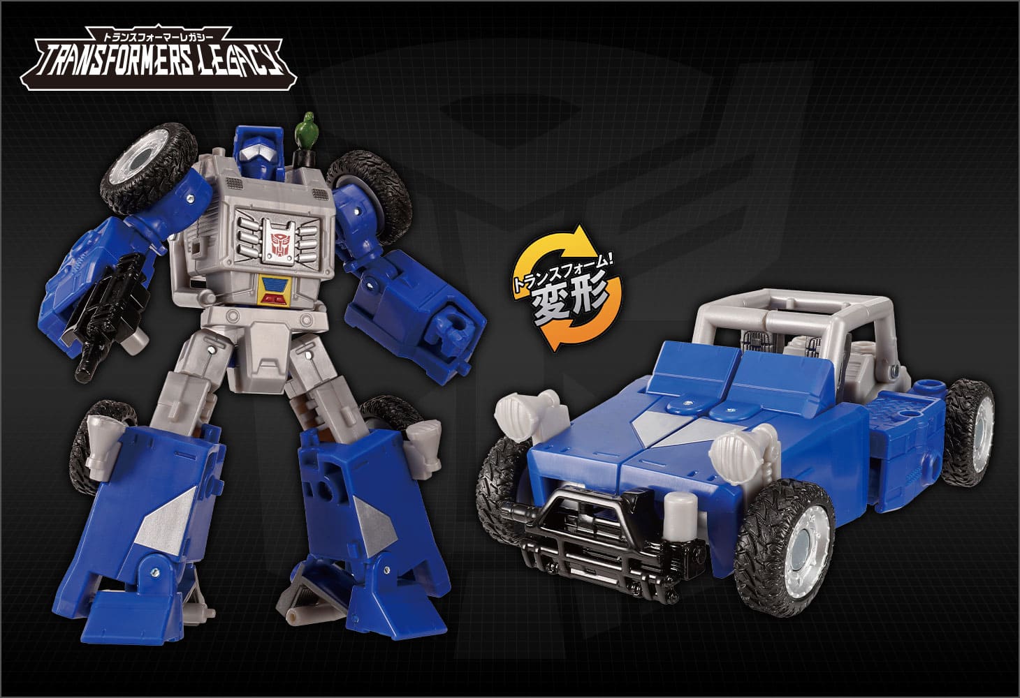 TL-43 ビーチコンバー＆パラダイスパラキート