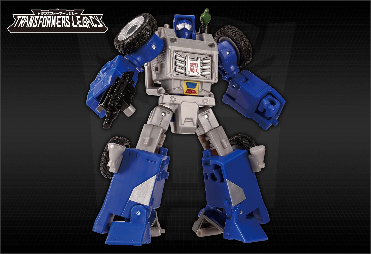 TL-43 ビーチコンバー＆パラダイスパラキート