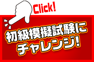 初級模擬試験にチャレンジ！